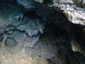 Grotta Zinzulusa 2