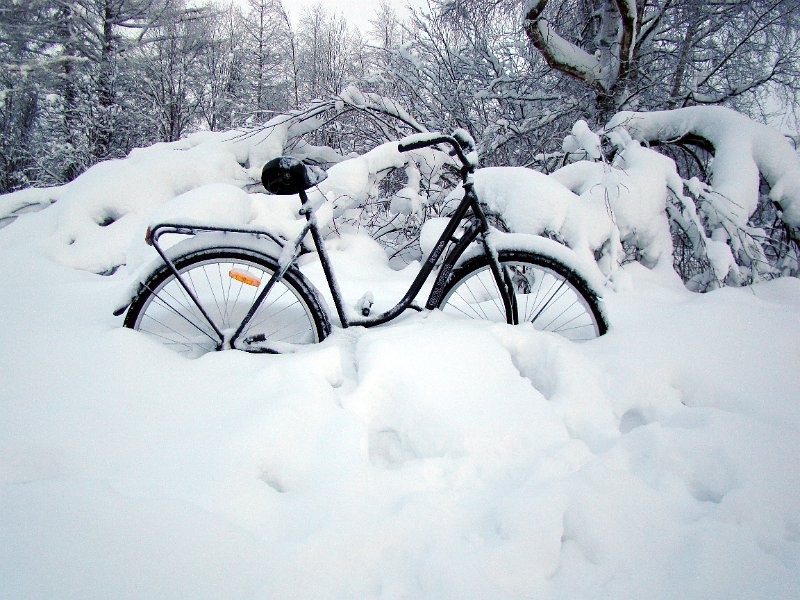DSC00036.JPG - fiets in de sneeuw