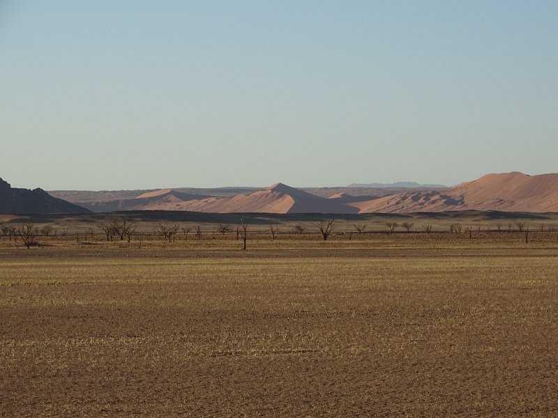 DSC05886.JPG - Sossusvlei