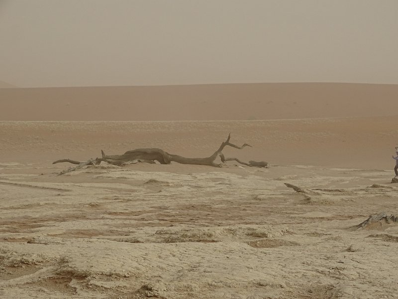 DSC05905.JPG - Deadvlei