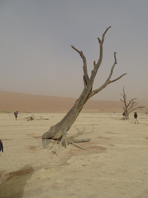 DSC05907.JPG - Deadvlei