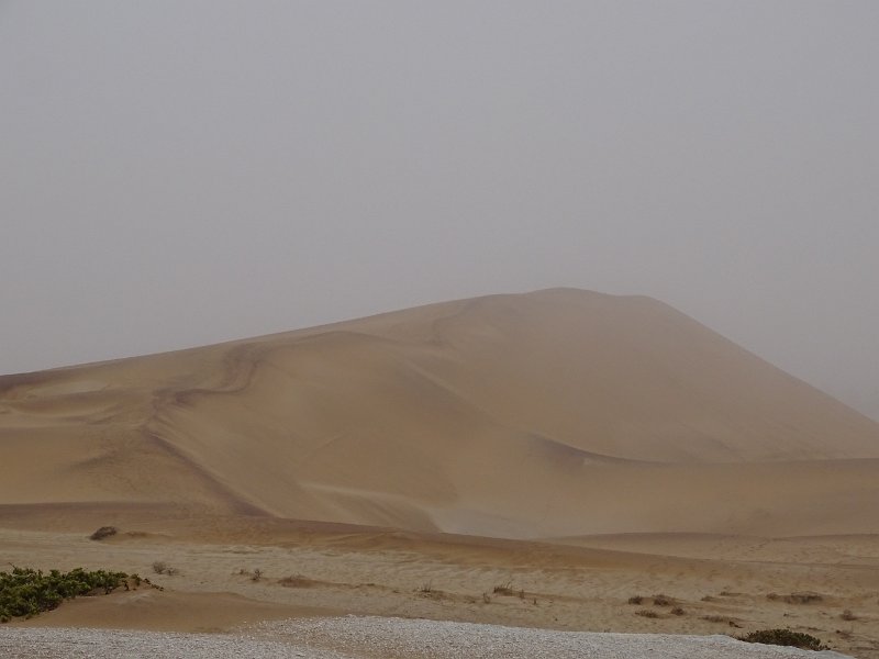 DSC06118.JPG - Namib Desert Swakopmund