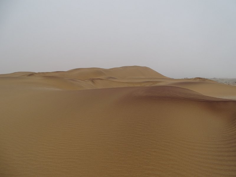 DSC06129.JPG - Namib Desert Swakopmund