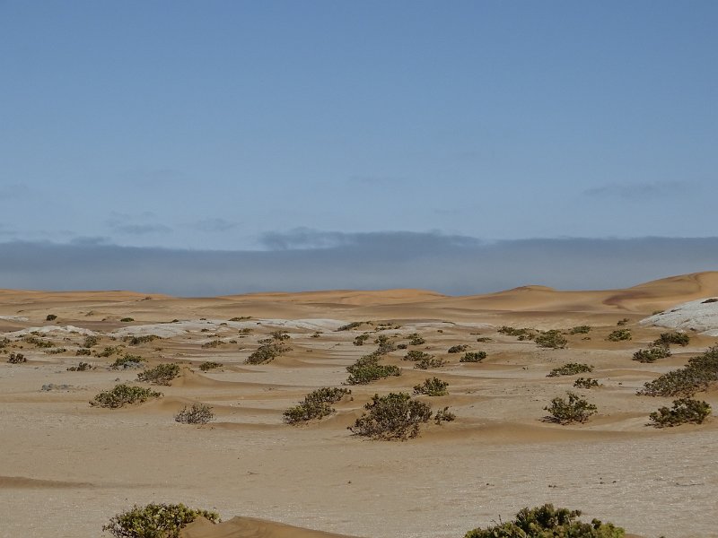 DSC06167.JPG - Namib Desert Swakopmund
