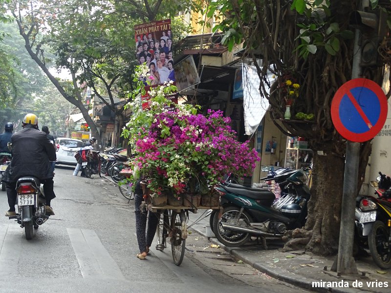 Hanoi (3).JPG