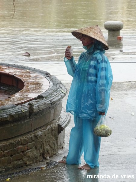 Hoi An  (45).JPG