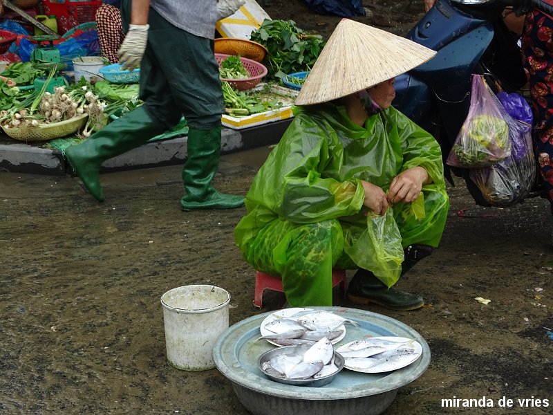 Hoi An  (68).JPG