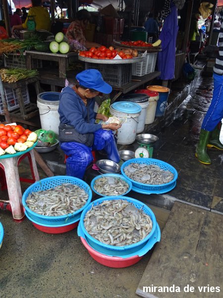 Hoi An  (69).JPG