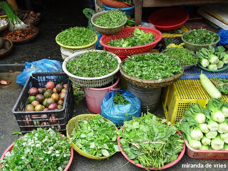 Hoi An  (70).JPG