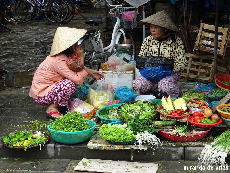 Hoi An  (77).JPG