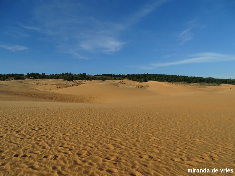 zandduinen van Mui Ne (1).JPG